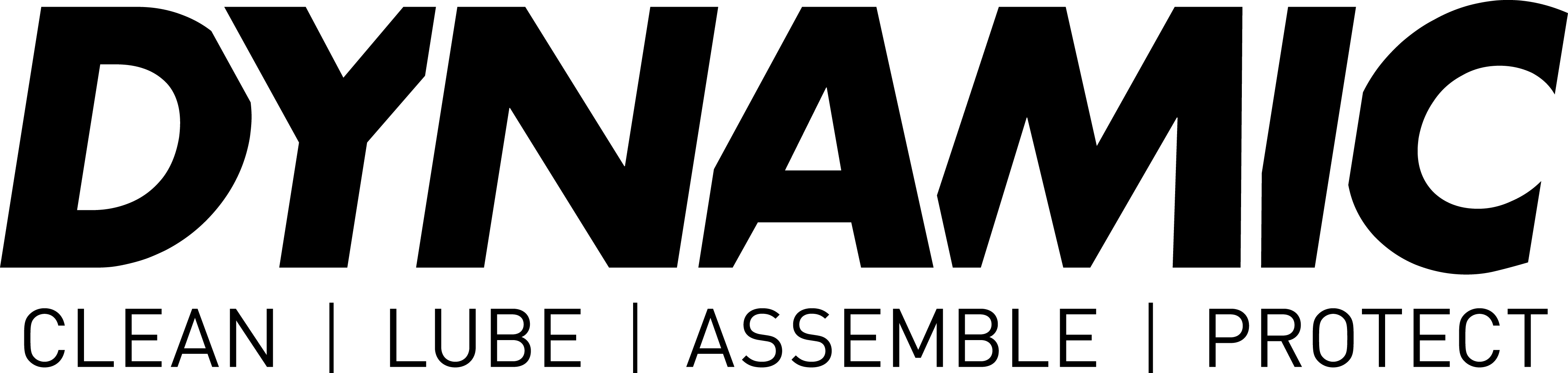 Dynamic Logo black small